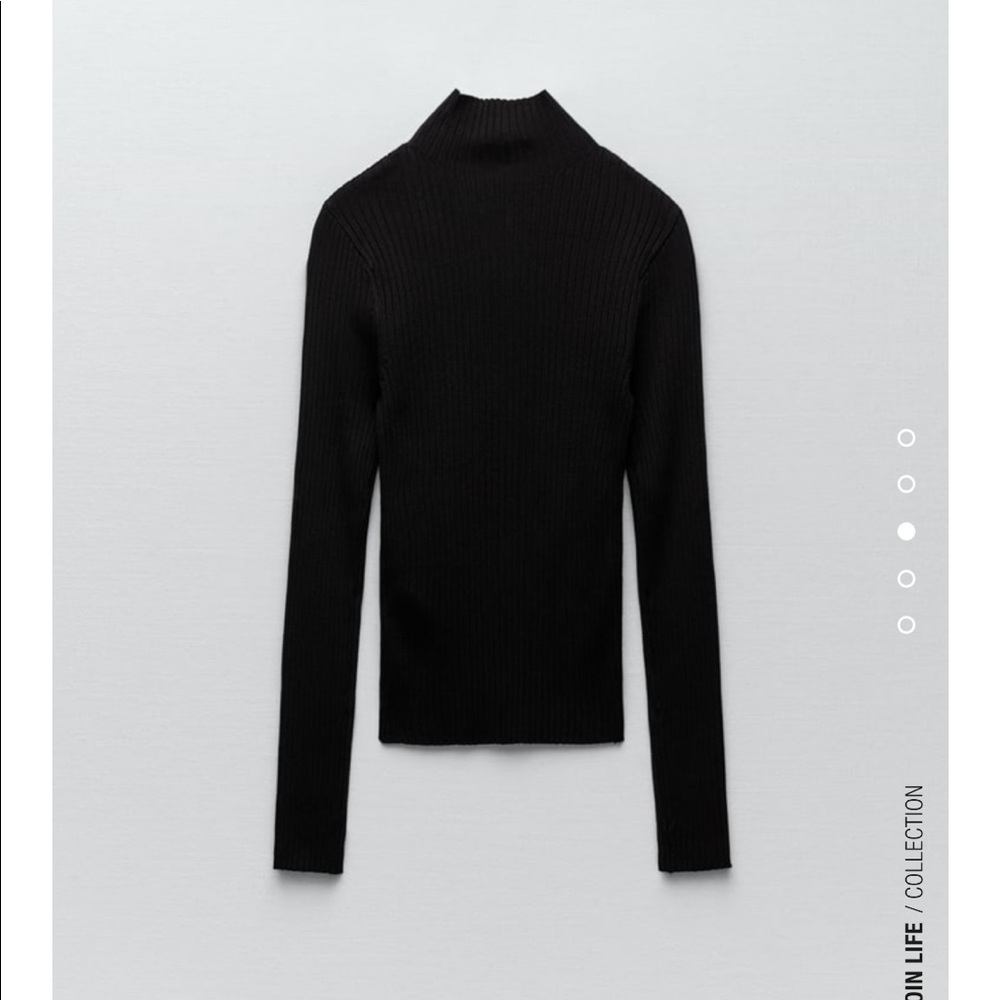 Zara Knit Ribbed Turtleneck - Picture 3 of 4